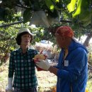 (주)고향이야기 이미지