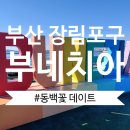 Waving | 부산 장림포구 부네치아 / BUNEZIA 동백꽃 보며 데이트