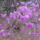 신진마을회관 이미지