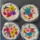 원예심리치료 전문가 교육과정 이미지