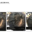 세정토탈솔루션 이미지