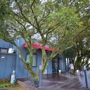 에코힐 글램핑 이미지