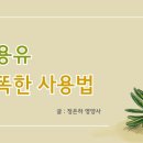 파티마건강식품