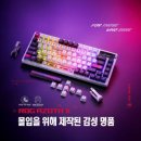 네오플레이트 이미지