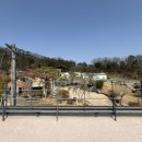 그린 | 일산 성석동 카페 피콕그린 내돈내산 후기 (주차·디저트·분위기까지)