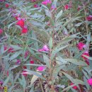 곤지암도자기공원 이미지