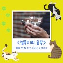 (주)성수동미디어그룹 | DMQ 스터디 그룹2기 학습일지 5일차 트리플 미디어