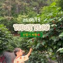 새터농장 이미지