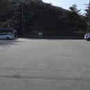 솔향공원 소나무전시관 이미지