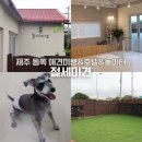 신양로 | 제주 동쪽 애견 미용 호텔 놀이터 성산 절세미견 내돈내산 후기