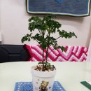 제일뜨개방
