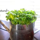 유진허브 이미지