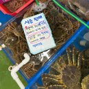 금강산수산횟집 | 호객행위/바가지 없고 정직한 감포회포장 1등 부부수산, 회 포장 후기