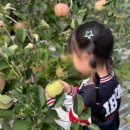 이본유치원 이미지