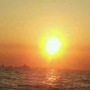 배꼽친구 이미지