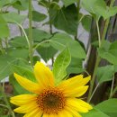 양3동 어린이집 이미지