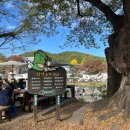 진우식당 | [담양 여행기 1탄] 담양 국수 거리 맛집 <진우네 집국수> 내돈내산 솔직 후기!