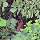 종은목장 이미지