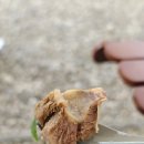 사미가가든 이미지