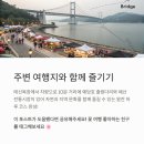 국화목장 이미지