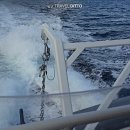 씨스타(SEA STAR)참치 | 케언즈 그레이트 베리어 리프 투어 스노클링 후기 할인 예약