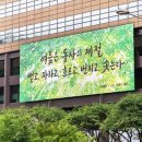 교보생명 이미지