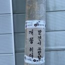 피자스쿨동두천 이미지