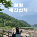 철원애견