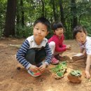 행복한 숲 어린이집 이미지