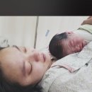 닥터마레산부인과 네이버블로그