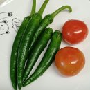 도시농부학교, 천안시 도시농부학교 10기 14주 차 수업 후기, 텃밭 소식, 주말농장, 힐링 정원