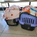 유석동물병원 이미지