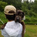 도그마실 이미지