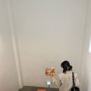 데이글로우(dayglow) 이미지