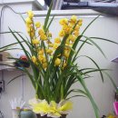 상신상사 이미지