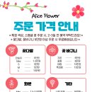 앨리스데이 네이버블로그