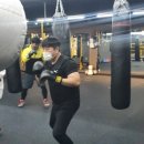 스탈리온복싱짐