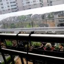 미니하우스 이미지