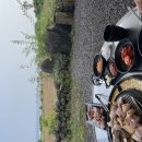 하예동-16 이미지