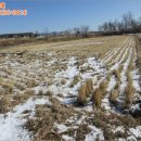 중동면 우물리 이미지