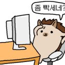 옥스피시방 이미지