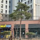 광교스타부동산공인중개사사무소 이미지