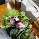 윤훈식농가쌈밥 송정점 이미지