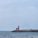 5박 6일 제주 여행 기록 🏝️