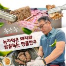 명품한우암소구이센타 | 울산대 맛집 무거동 소고기 보성녹돈 명품한우 다녀온 후기
