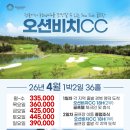 오션비치 이미지