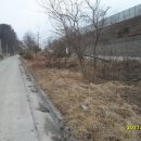 내촌약국 이미지