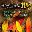 시니어스마트폰 이미지