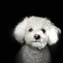 카페산책 이미지