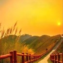 가평파크골프장 이미지